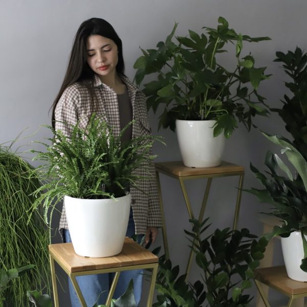 Classic White Lily Arrangement