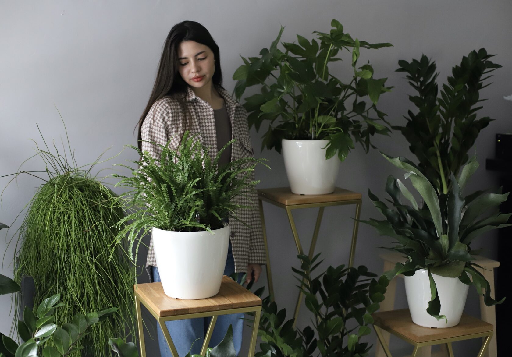 Classic White Lily Arrangement