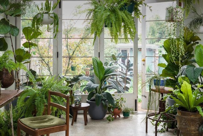 Classic White Lily Arrangement - Image 4